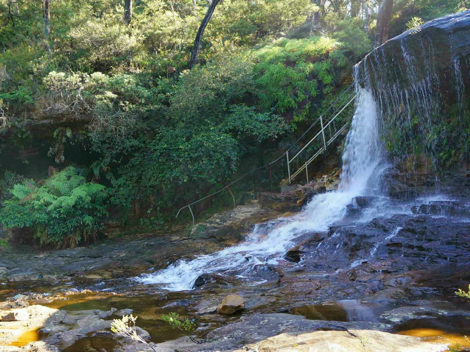Charles Darwin Walk — cover image