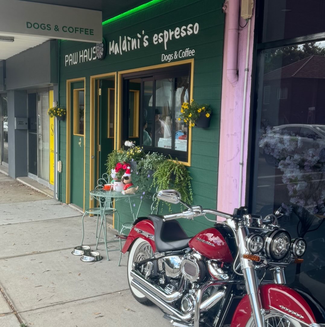 Paw Haus by Pet Us — cover image