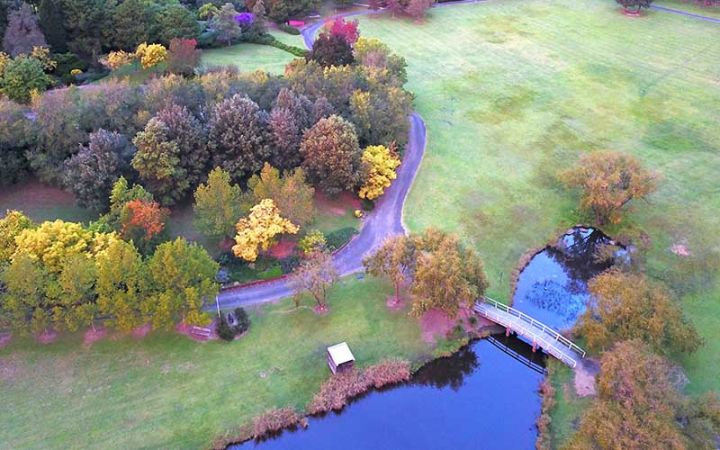 Fagan Park — cover image